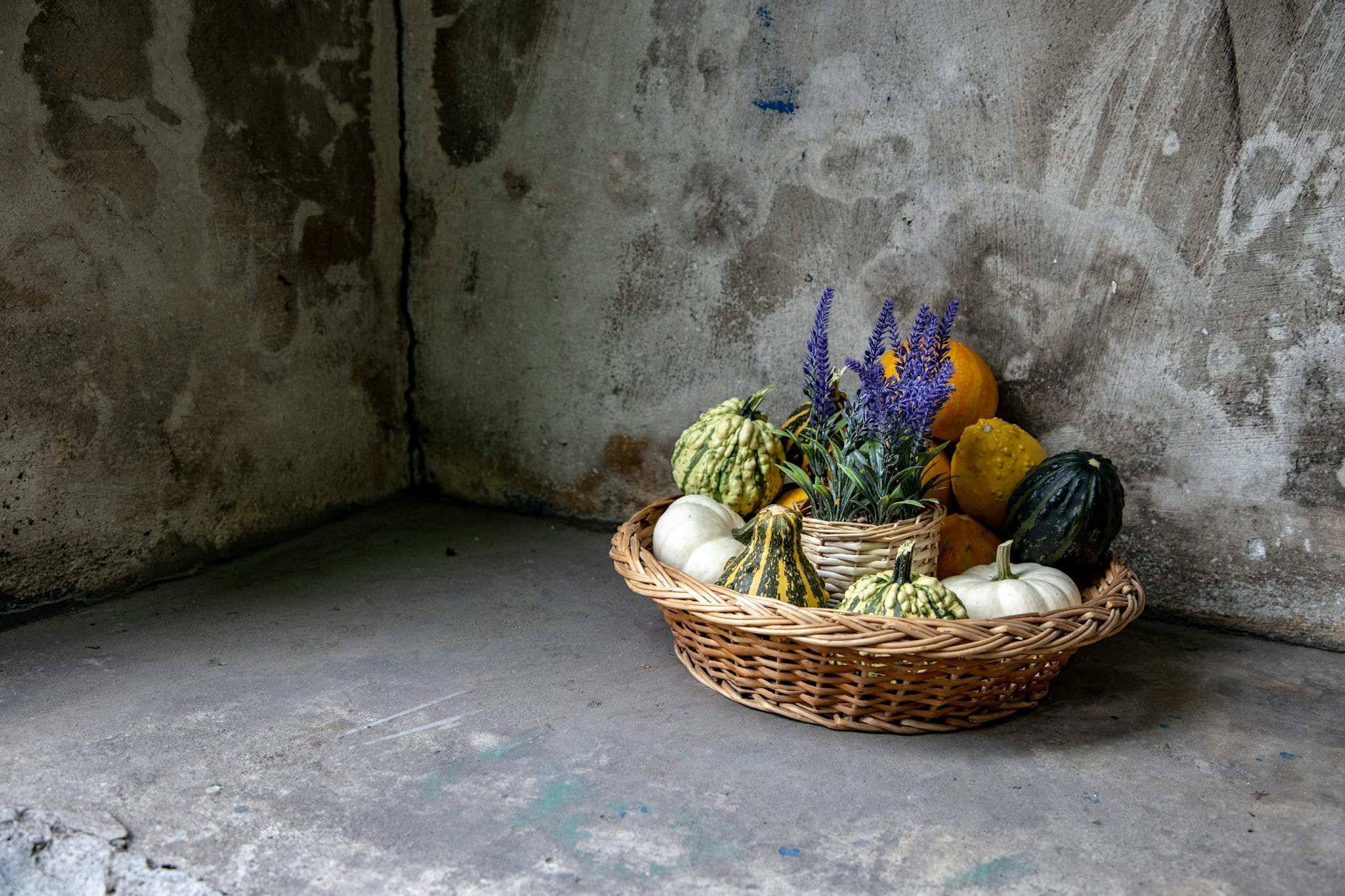winter vegetables basket Austria