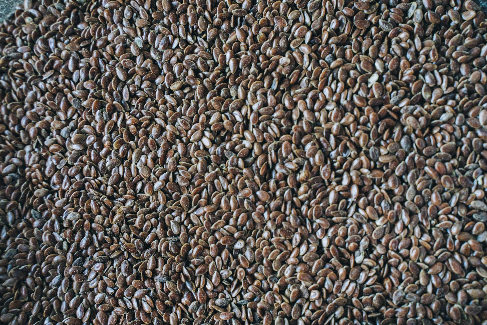 flax seeds healthy nutrition