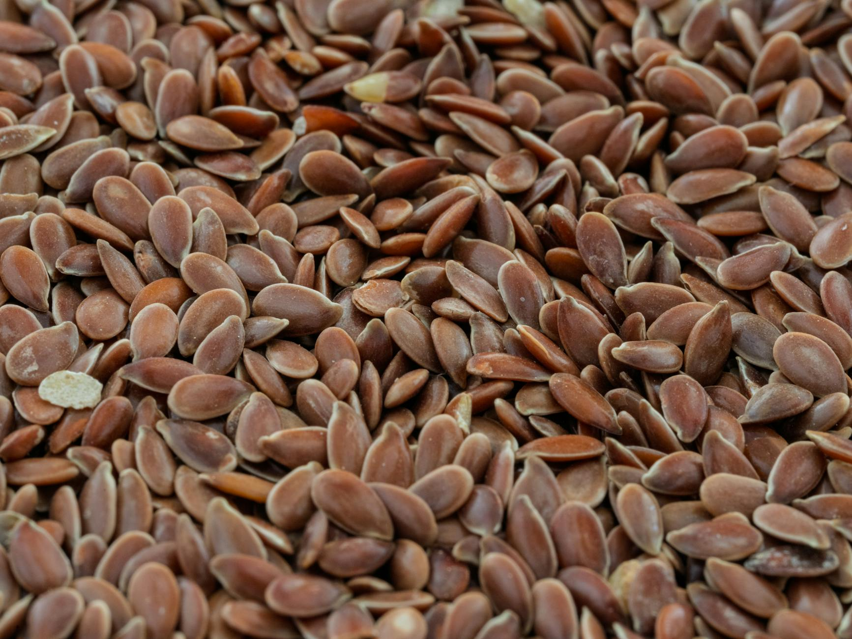 flax seeds healthy nutrition