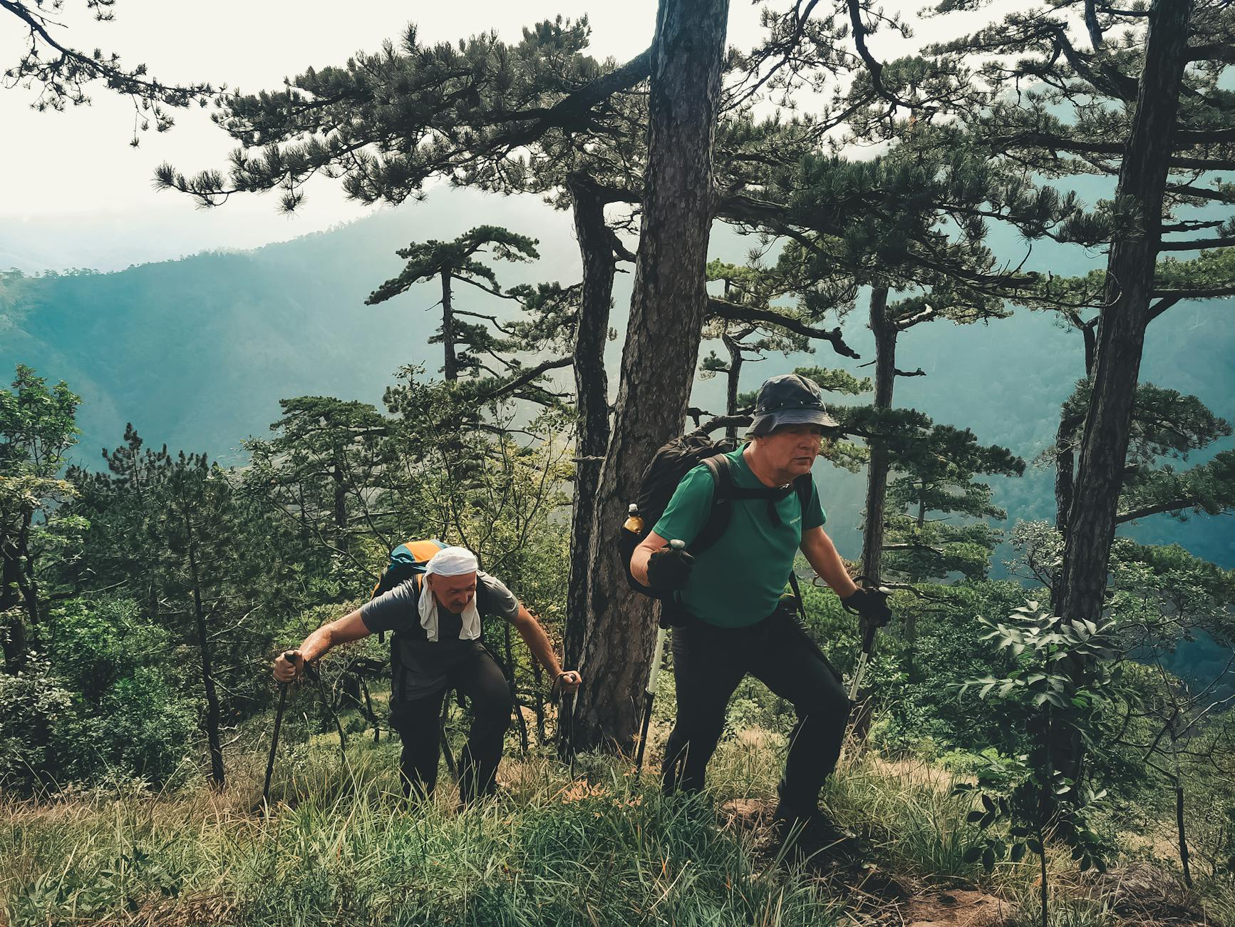 elderly group hiking mountains
