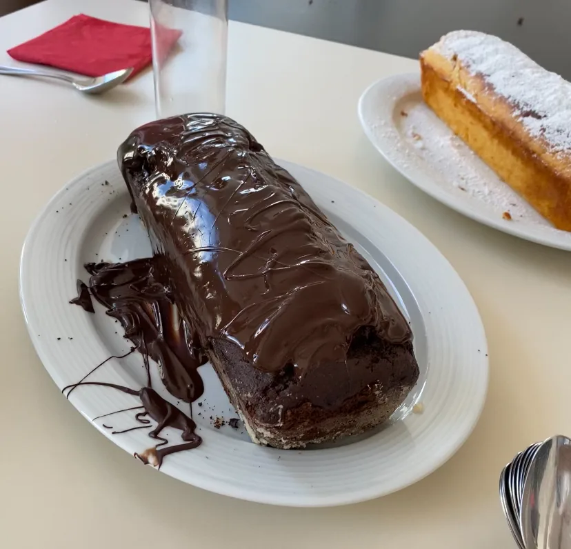 Rich chocolate-glazed log cake on a plate beside a slice of powdered sugar cake.